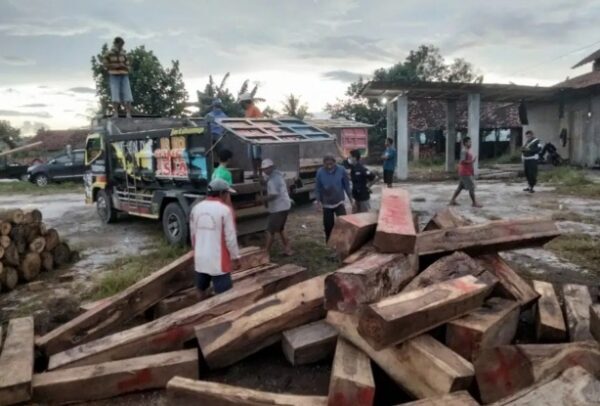 Illegal Logging Marak di Regiter Libatkan Oknum Pegawai Kehutanan?