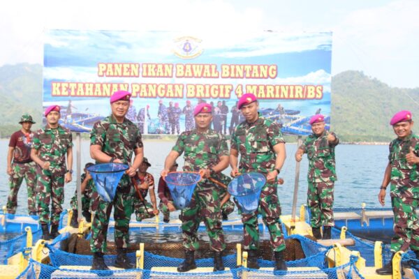 Kali ke II, Brigif 4 Marinir/BS Panen Ikan Bawal Bintang