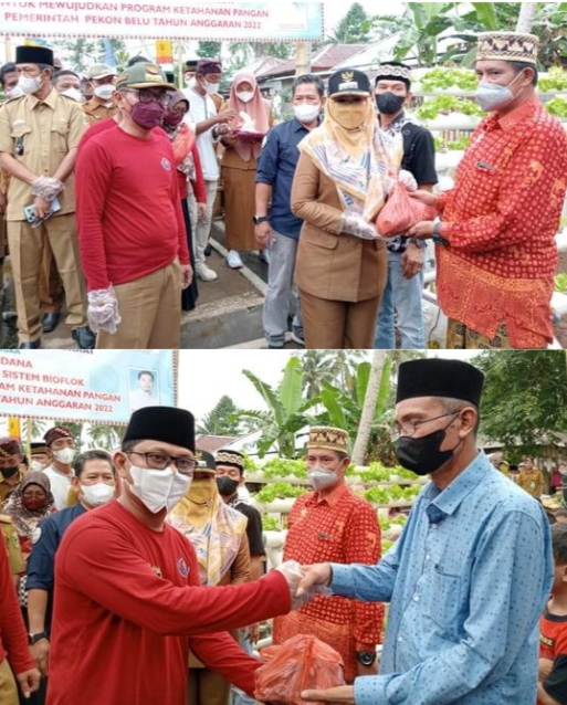 Panen Perdana Budidaya Ikan Lele Program Ketahanan Pangan Pekon Belu Dihadiri Bupati Tanggamus