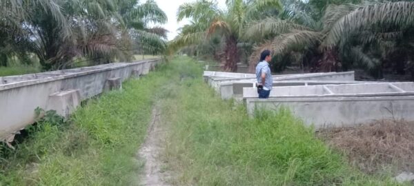 Warga Bandar Anom Mesuji Keluhkan Pembangunan Irigasi Gantung