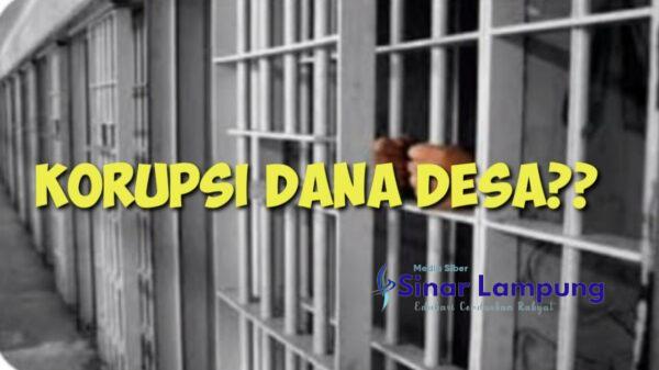 Ketahuan Korupsi Dana Desa Rp280 Juta, Kades Labuhan Makmur Ditangkap Satreskrim Polres Mesuji