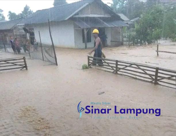 12 Rumah di Pekon Gunungtiga Ulu Belu Terendam Banjir Setinggi 1,5 Meter