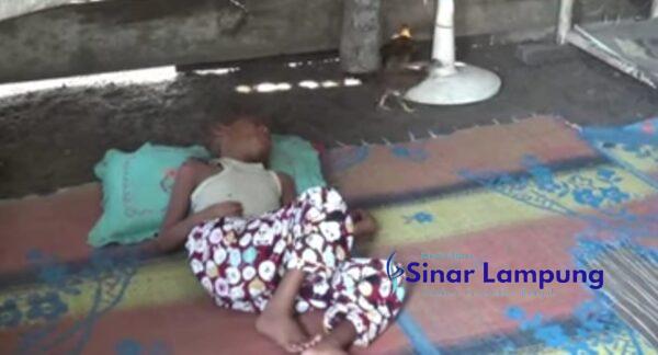 Kehidupan Darwin Warga Negara Batin Menyedihkan, Dilaporkan ke Pemkab Way Kanan Tak Ada Tindakan