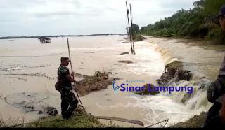 Banjir di Lampung Timur Rusak Puluhan Hektar Sawah di Desa Sidorahayu