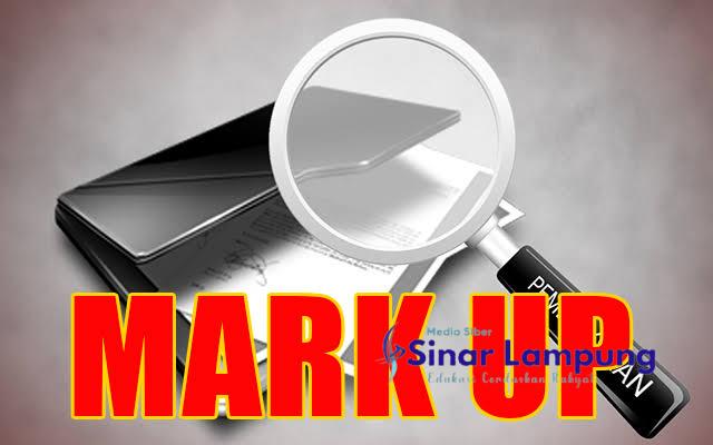 Pematank Desak Kejati Usut Anggaran Petugas Kebersihan Rp550 Juta Lebih Persemester di Rumah Dinas Bupati Lampung Selatan