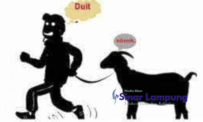 Warga Bandar Mataram Resah Puluhan Kambing Raib Dalam Semalam Modus Disembelih