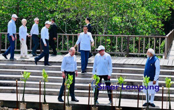 Hari Kedua KTT G20, Jokowi Ajak Para Pimpinan Negara Tanam Mangrove di Tahura