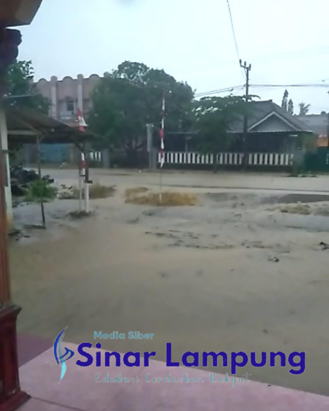 Jalan dan Rumah Warga Adi Jaya Mesuji Terendam Banjir Setinggi 40 CM