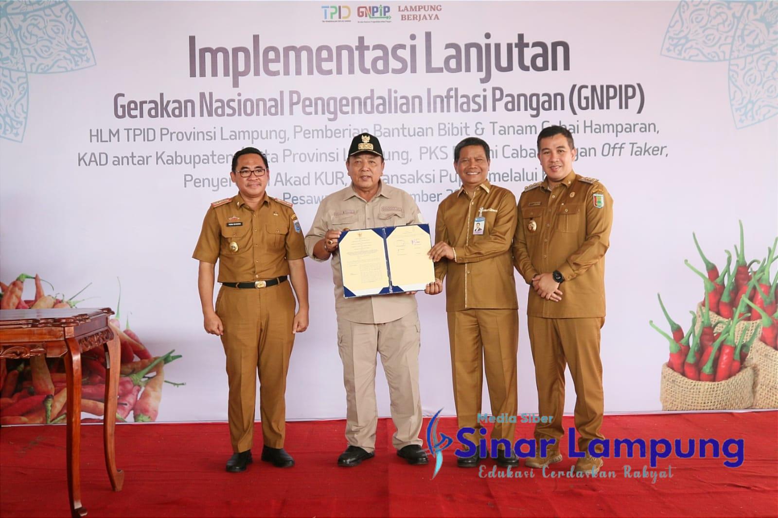 Kendalikan Inflasi Pangan Arinal Djunaidi Laksanakan Gerakan Tanam Cabai, Tiga Daerah Teken Mou