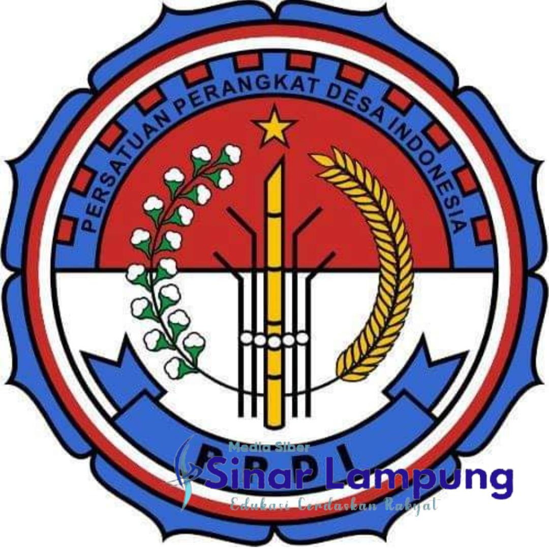 PPDI Tuba Tuntut Pemda Terapkan PP 11 tahun 2019 Dalam Penetapan Siltap RK