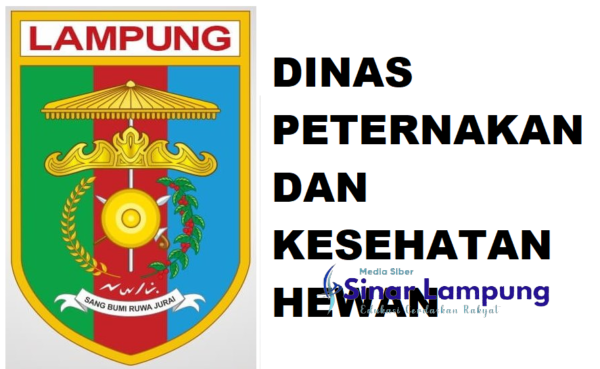 Geram Desak Krimsus Polda Usut Dugaan Korupsi Dinas Peternakan dan Kesehatan Hewan Provinsi Lampung