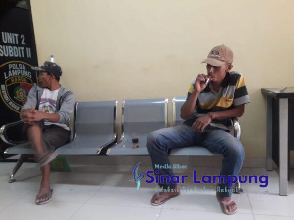 Disuruh Nebang Pohon Pisang oleh Empu Tanah Dua Warga TBS Malah Dipanggil Polda Lampung