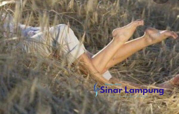 Suami di Lampung Barat Tombak Pria Yang Kepergok Sedang Nombak Istrinya di Kebun
