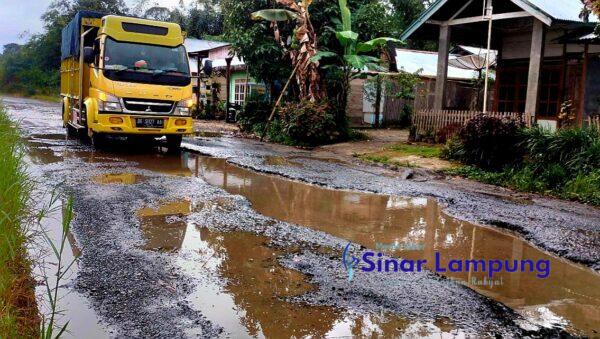 Lapor Pak Arinal Jalan Provinsi Jalur Liwa-Sukau di Bandarbaru Mirip Kubangan Sawah