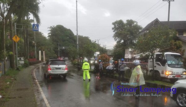 Cegah Macet dan Laka, Satlanntas Polres Metro Bantu Evakuasi Tiang Lampu yang Roboh