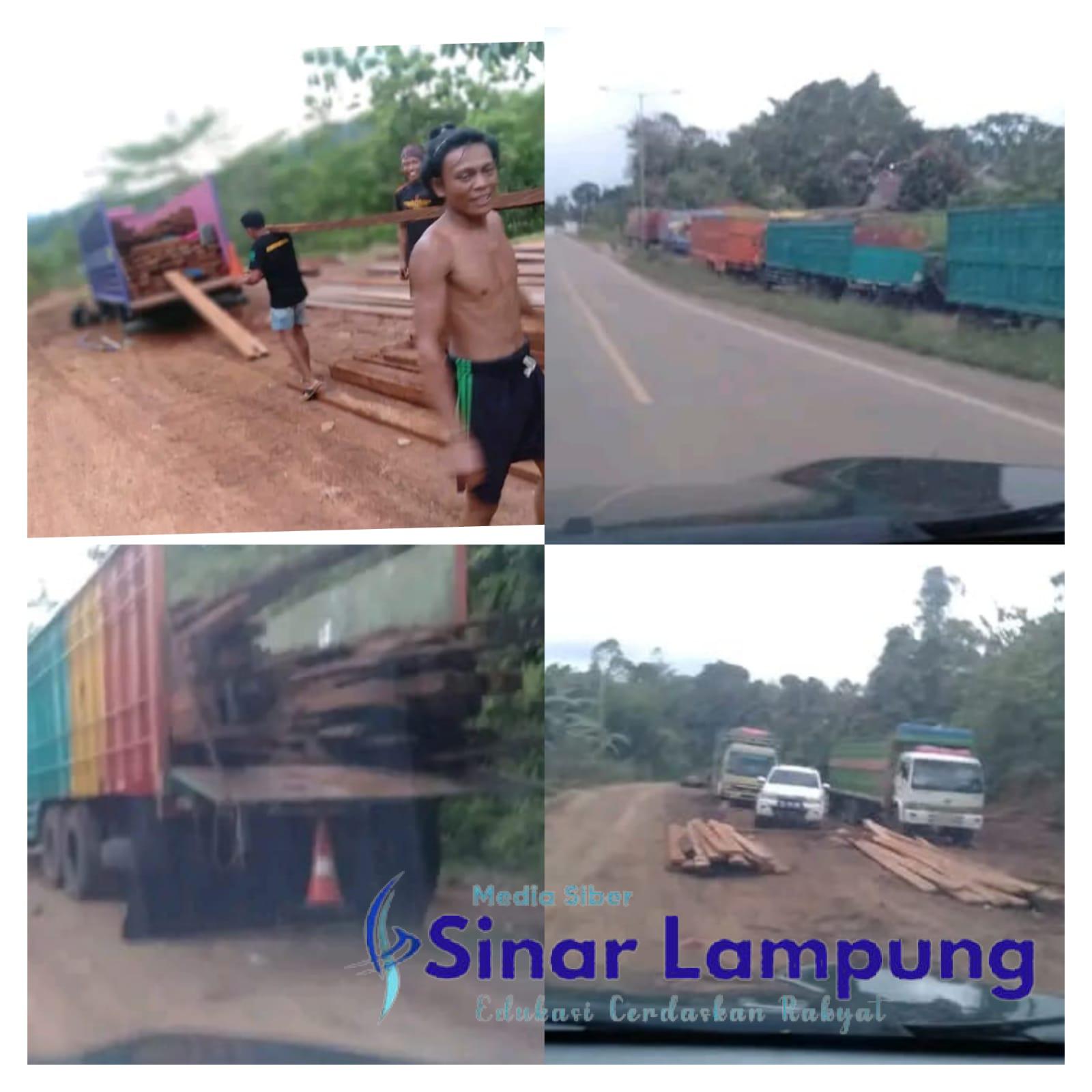 Ilegal Ilogging Marak Oheo Konawe Utara Kapolda Sultra Diminta Bertindak