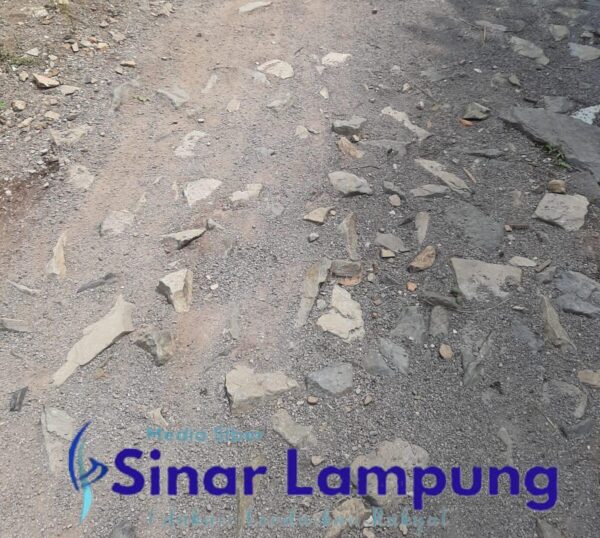 Kegiatan Pembangunan Pekon Gunungtiga Tahun Anggaran 2021-2022 Sarat Penyimpangan 