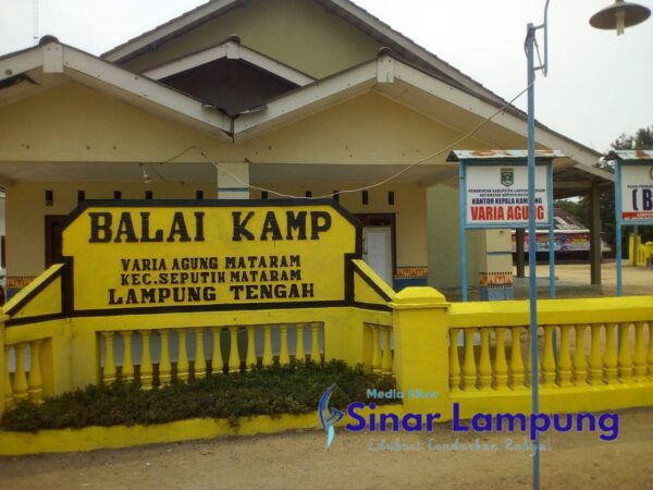 Gara Gara Digerebek Warga Janda Bohai Didenda Rp20 Juta Telat Bayar Sapinya Disita?