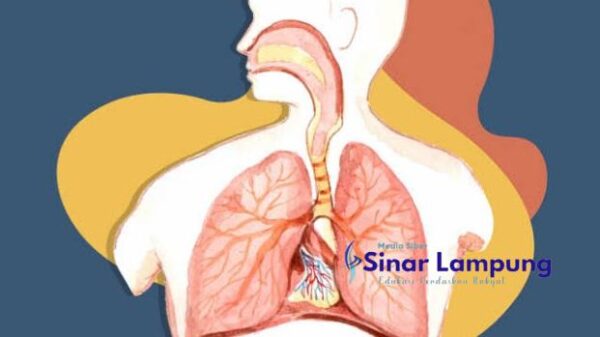 Cocok Bagi Perokok, Cara Alami Bersihkan Lendir dalam Paru-paru