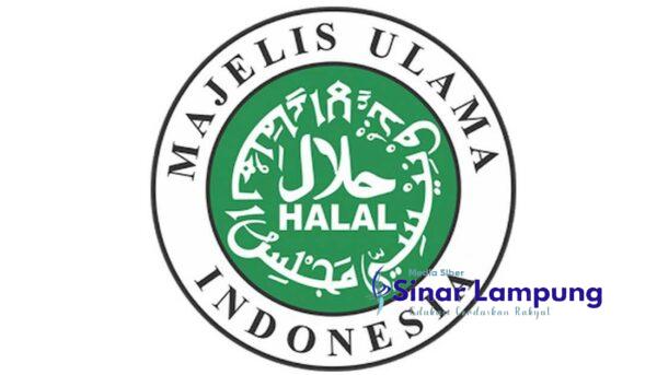 MUI Rilis Maklumat Aliran Sesat Hakikinya Hakiki yang Sangat Bertentangan dengan Syariat Islam