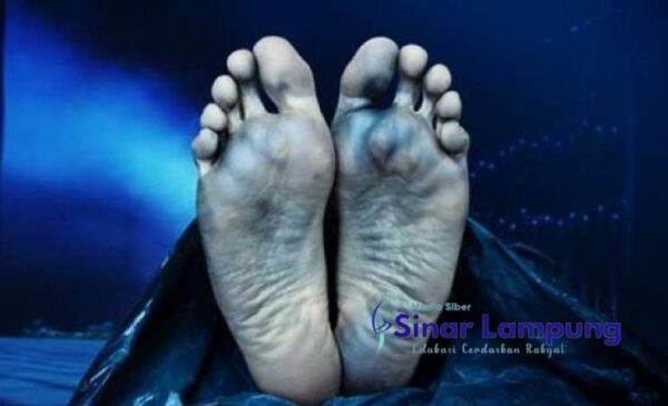 Dua Pria Paruh Baya Bertikai di Jalinsum Way Kanan Satu Tewas Bersimbah Darah