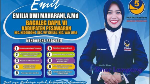 Bacaleg Emilia Ajak Kaum Milenial Ikut Ramaikan Pesta Demokrasi Indonesia