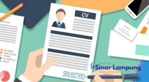 Hal-hal yang Perlu Dihindari Pas Buat CV dan Interview Kerja Agar Tidak Di-Skip HRD.