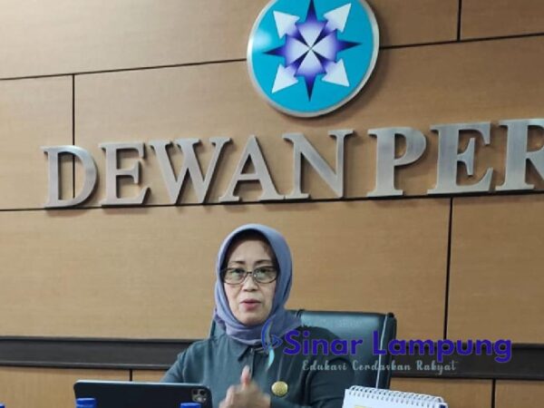 Soal Pendataan dan Verifikasi Media, Ini Penjelasan Dewan Pers