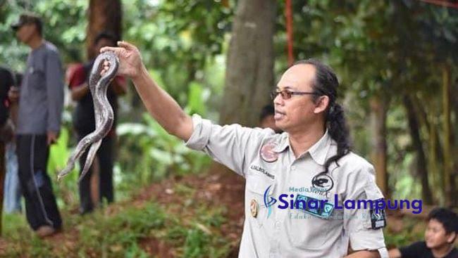 Ketua Yayasan Sioux Ular Indonesia Aji Rcahmat Tewas Digigit King Cobra