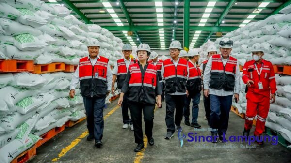 Tinjau Gudang PT Pusri Puan Maharani Singgung Soal Kelangkaan Pupuk