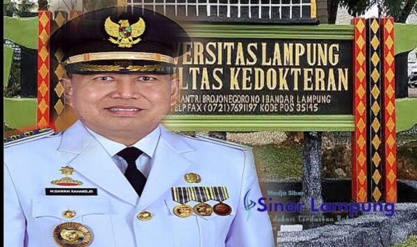 Kelebihan Bayar Honor Pemda Lampung Timur Rp1,9 Miliar, BPK Perintahkan Segera Kembalikan, Ini Daftar Dinasnya