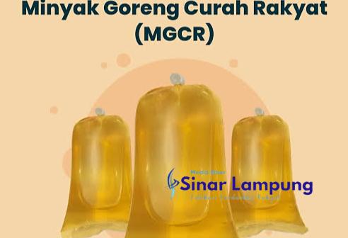 Kemendag Ungkap Penyalahgunaan 24.000 Liter Minyak Goreng Curah Rakyat di Lampung