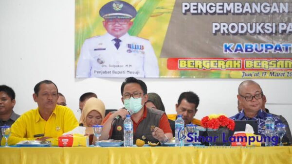 Panen Raya, Syamsudin Sebut Mesuji Berpotensi Besar Dorong Ketahanan Pangan Nasional