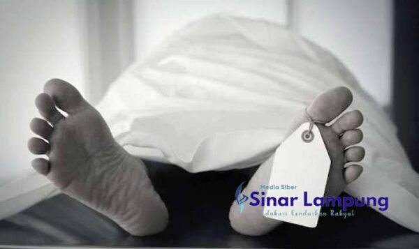 Warga Wates Tewas Hanyut di Sungai Way Ratai Saat Pulang dari Sawah