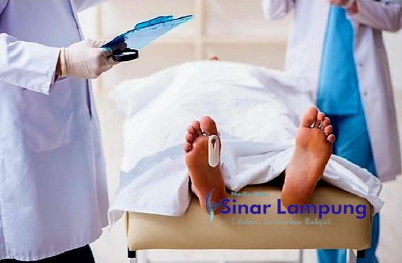 Anak Anggota Dewan PKB Tewas Tawuran Terkapar Berseragam di Tengah Sawah