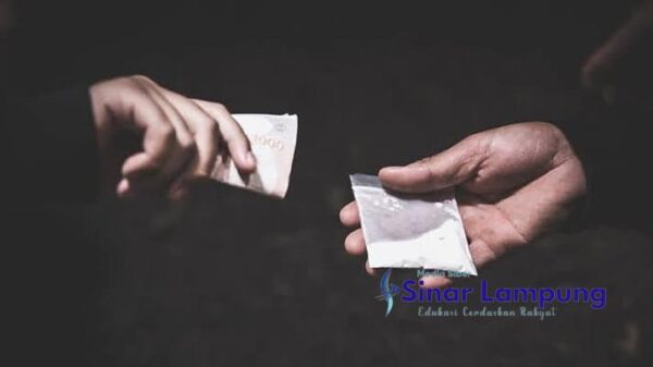 Terlihat Narkoba Pria Berkartu Wartawan di Tanggamus Ditangkap Polisi