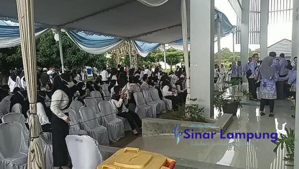 Alami Kendala, Seleksi kompetensi Teknis Tambahan P3K KB di Lampung Tetap Berjalan Lancar