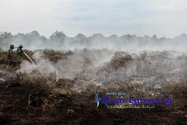 Karthula di Riau Hanguskan 60 Hektare Lahan Sudah Sepekan Belum Padam Ingat Warning Presiden?