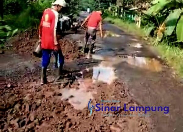 Sepuluh Tahun Tak Tersentuh Perbaikan Warga Desa Babatan Lampung Selatan Swadaya Timbun Jalan Kubangan