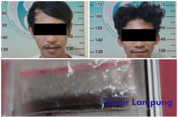 Dua Remaja Asal Lamtim Keciduk Polisi Bawa Gorila di Viladekost Metro