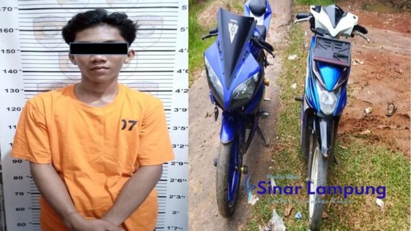 Setahun Buron, Remaja Asal Lamtim Dibekuk Polisi Gegara Curat