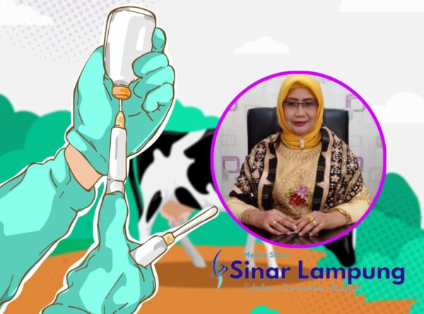 Distribusi 10.000 Vaksin LSD di Lampung Dilakukan Jelang Idul Adha