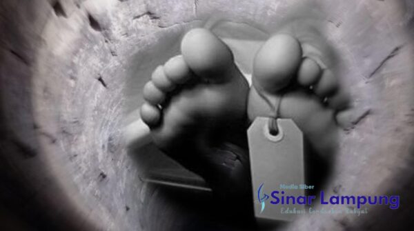 Warga Pringsewu Ditemukan Orang Tuanya Tewas di Dalam Sumur Setelah Dua Hari Hilang