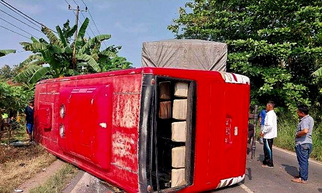 Bus Pemprov Lampung Bawa Rombongan Besan Terguling di Tegineneng Satu TewasÂ