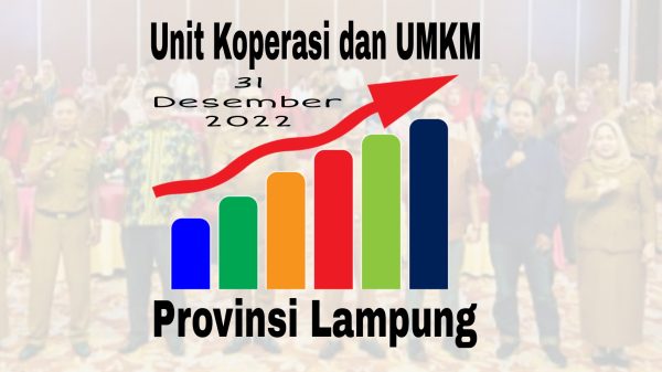 Unit Koperasi dan UMKM di Lampung Meningkat Pesat