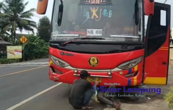 Laka Dengan Bus saat Pulang dari Sawah, Petani di Way Jepara Tewas di Tempat