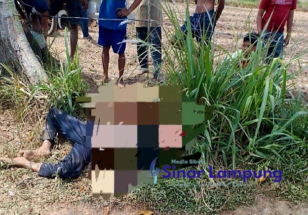 Warga Main Hakim Sendiri Pria Asal Padang Ratu Tewas Dimassa di Tegineneng Yang Akan Mencuri Motor?