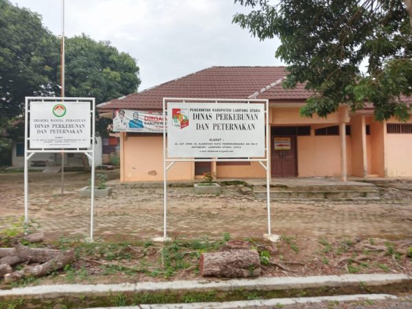 Tim Pokja Barjas Lampura Tidak Profesional, Proses Tender Proyek di Diknas dan Disnakbun Tuai Masalah