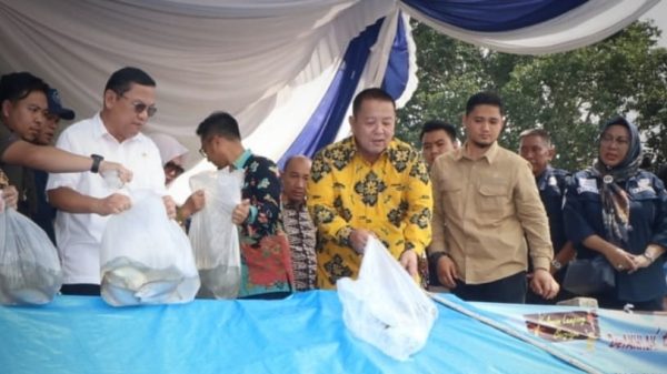 Arinal Tabur 500 Ribu Benih Ikan di Dermaga Way Kanan