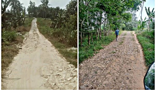 Lapor Pak Bupati ! Sejak Zaman Soeharto Jalan Kabupaten di Desa Rulung Mulya Lamsel Belum Diaspal